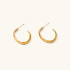 Chunky brushed gold hoop earrings in 14K plated stainless steel on cream background, front and side view.